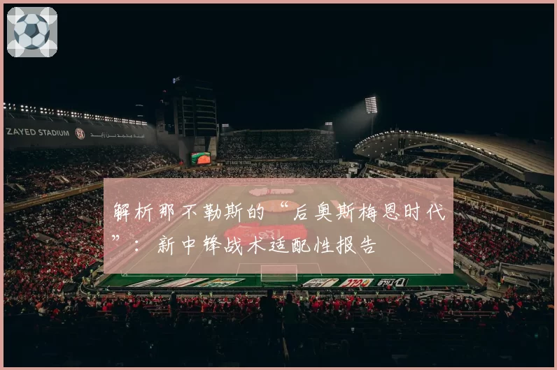 解析那不勒斯的“后奥斯梅恩时代”：新中锋战术适配性报告