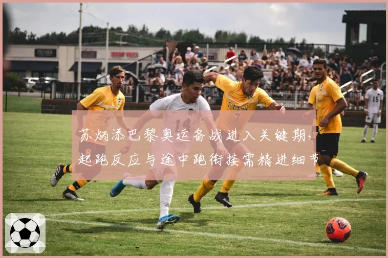 苏炳添巴黎奥运备战进入关键期，起跑反应与途中跑衔接需精进细节